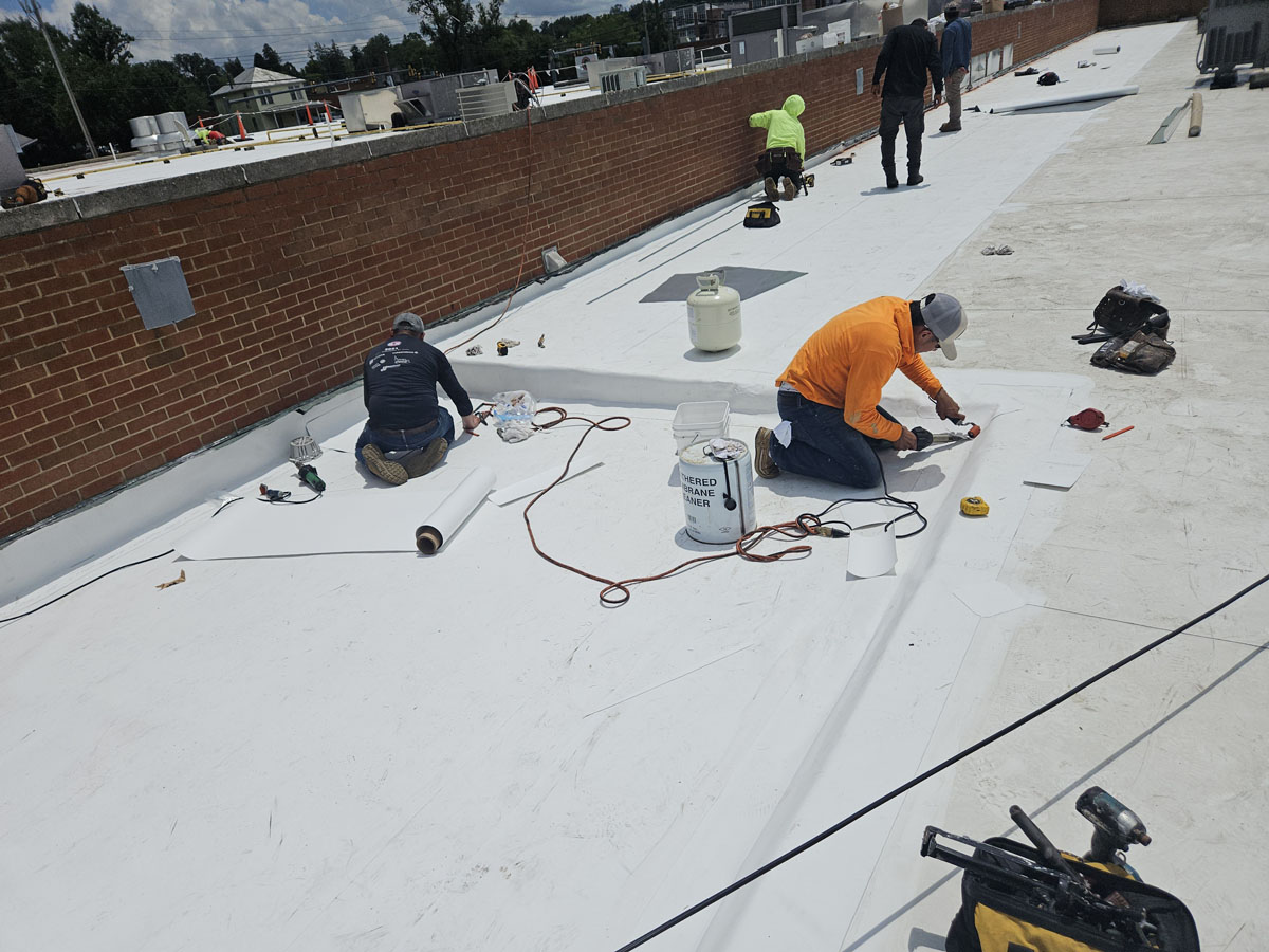 Tapered insulation roof cricket being installed on Roof 3 at 150 E Wolfe St to shed runoff away from a ponding area