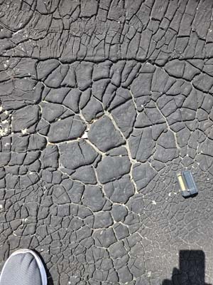 Severe alligatoring and cracking across the weathered coating surface of the 39-year-old modified bitumen roof on Roof 1 at 150 E Wolfe St before replacement