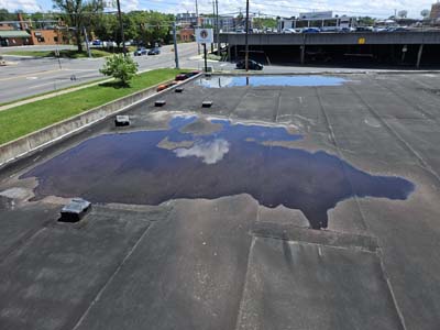 Severe standing water ponding on the low-slope roof at 150 E Wolfe St caused by inadequate slope to the drains