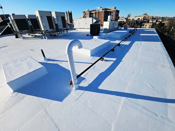Completed white Elevate UltraPly TPO roof at 1530 P St NW with wrapped curbs, a gooseneck vent and a permanent lifeline anchored across the field
