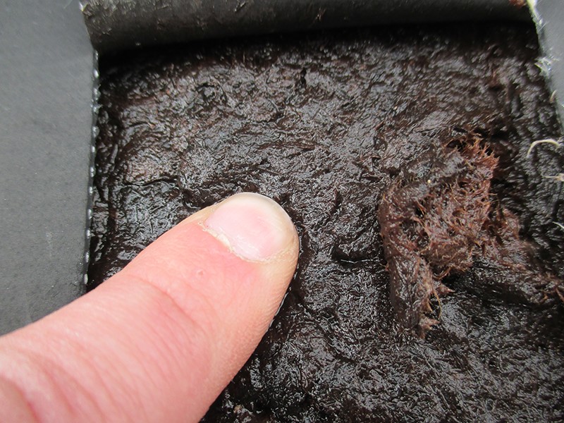 commercial roof core sample saturated moisture