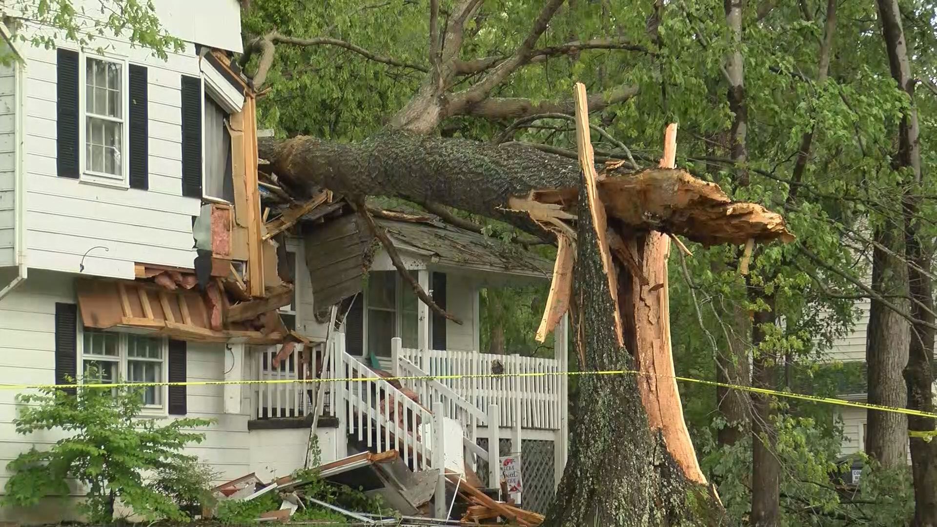 tree roof damage